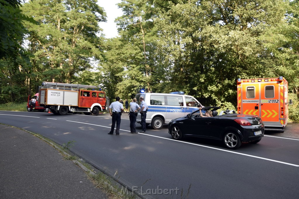 Waldbrand Koeln Hoehenhaus Hoehenfelder Mauspfad P006.JPG - Miklos Laubert